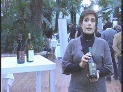Vini Maraviglia